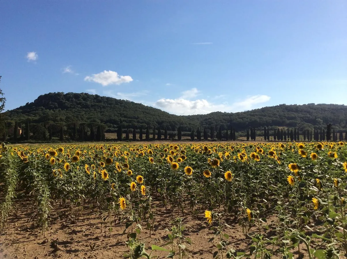 Agriturismo Bio Fattoria Di Pietra Giuncarico Italien